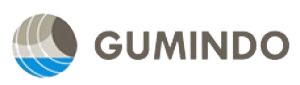 Prime logo