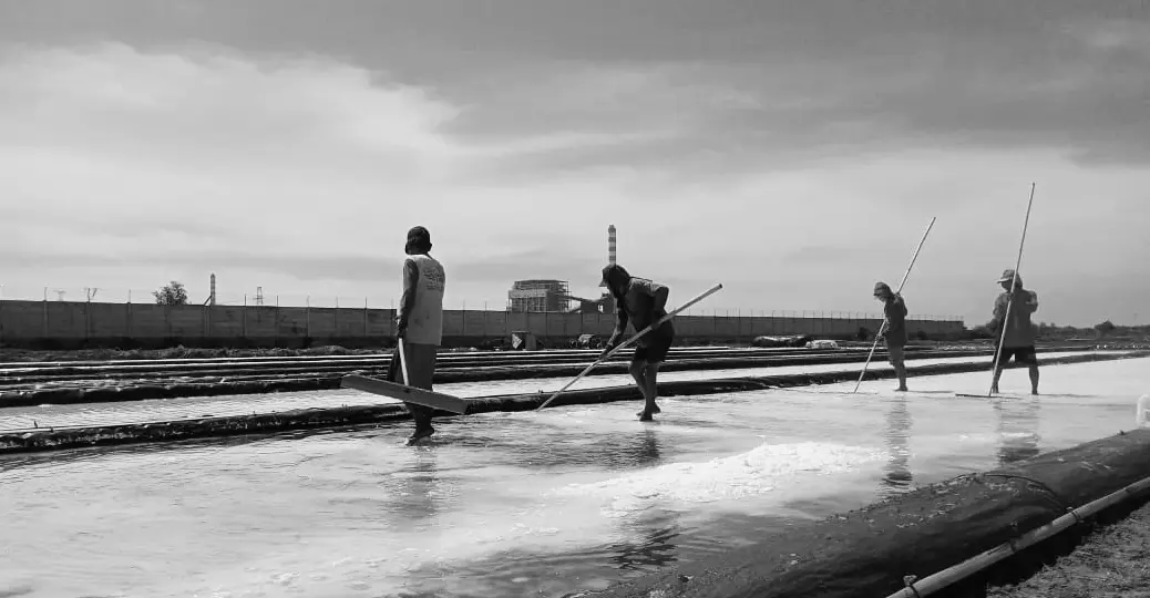 Garam: Kisah Perjalanan Putih Sepanjang Sejarah