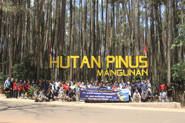 Eksplorasi dan Kebersamaan: Petualangan PT NGC ke Pantai Indrayanti, Hutan Pinus Mangunan, dan Malioboro